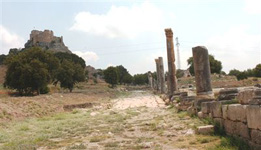 Водопроводчики в Турции нашли римские артефакты