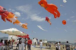 международный фестиваль воздушных змеев в Бодруме