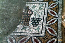 напольная мозаика в Адрианополисе