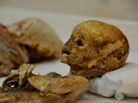 уникальные мумии в Турции