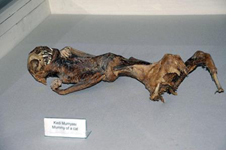 найдены мумии в Турции