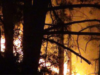 В Анталии бушует лесной пожар